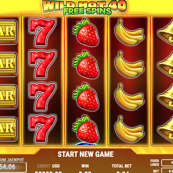 Wild Hot 40 Free Spins